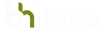 Baumpflege Hintner